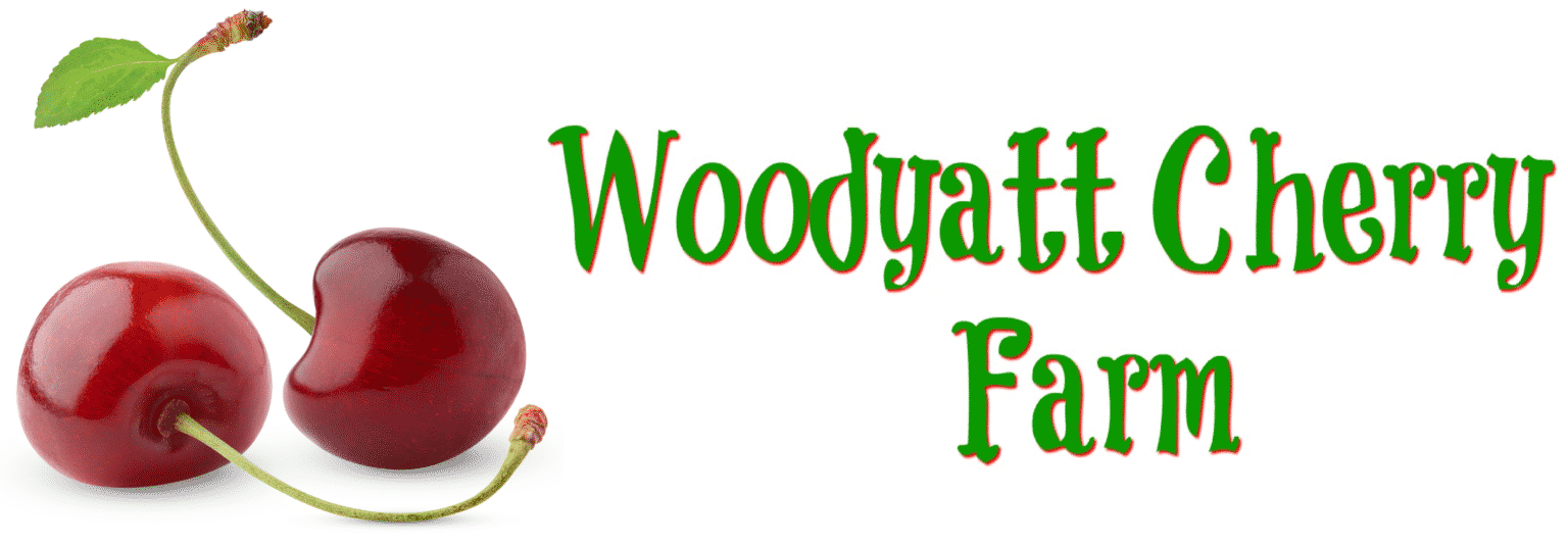Home Woodyatt Cherry Farm 100 Utah Grown Montmorency Cherries